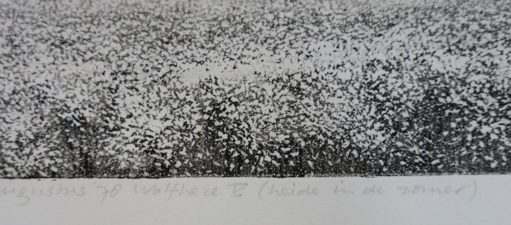 Paulien Wittenrood: Ets, Wolfheze V (heide in de zomer) kopen? Bied vanaf 35!