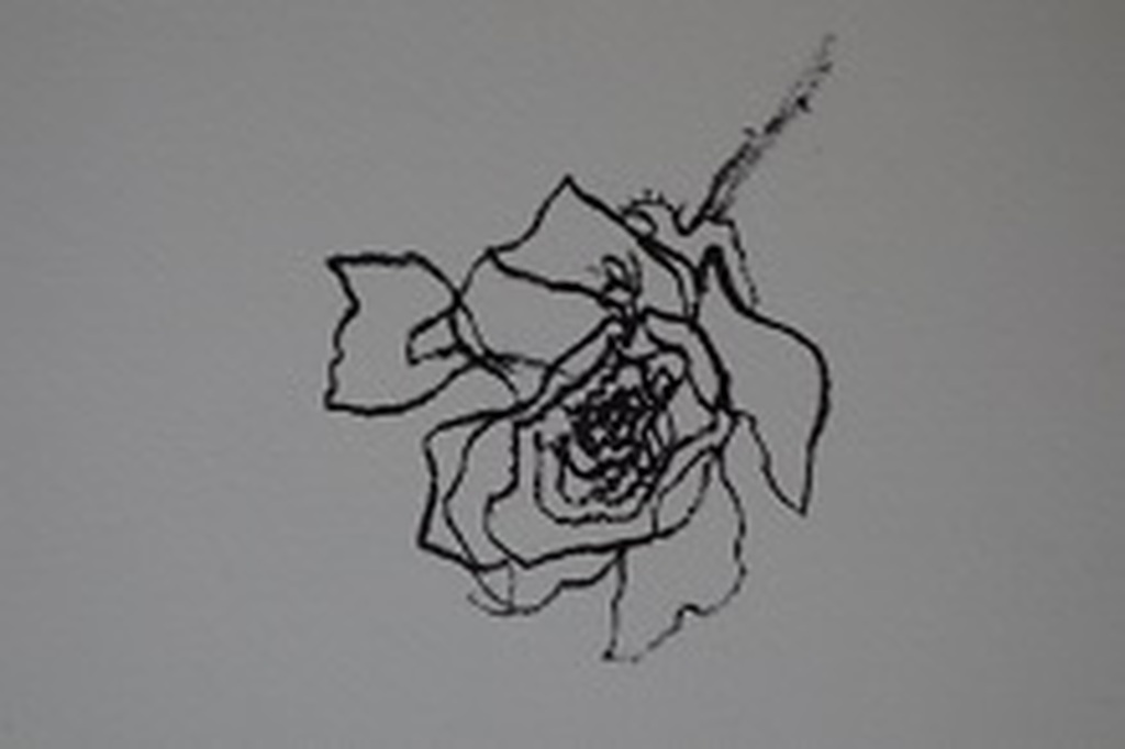 Peter Vos, litho bijdrage voor Stichting de Roos,diverse kunstenaars. kopen? Bied vanaf 25!