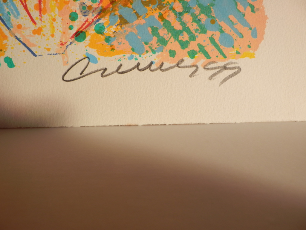 Jan Cremer: Zeefdruk, Tulipano Silvana   kopen? Bied vanaf 100!