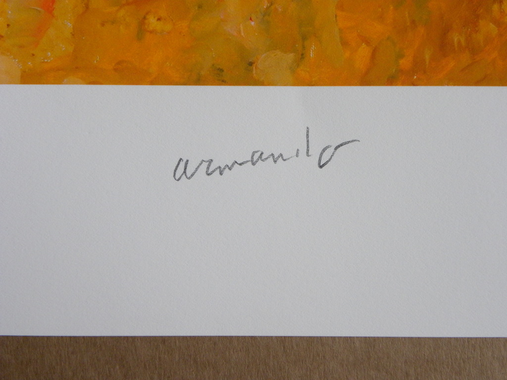 Armando - Landschaft - Gesigneerde multiple - 2016 kopen? Bied vanaf 139!