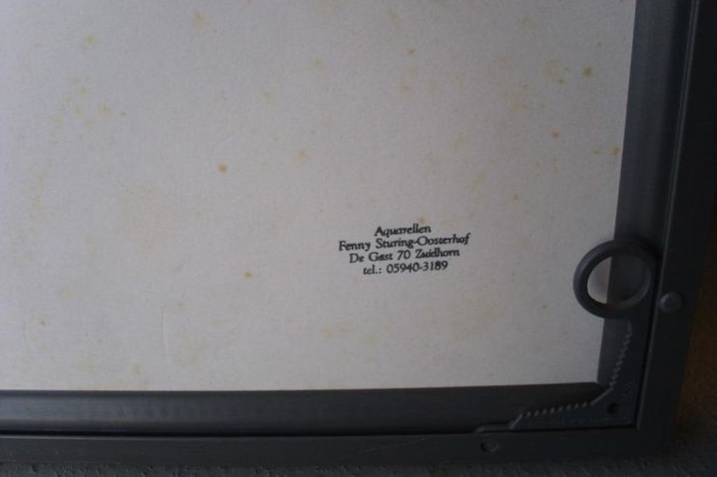 Fenny Sturing Stilleven aquarel kopen? Bied vanaf 30!