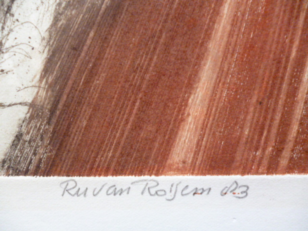 Ru van Rossem - kleurenets - Finale kopen? Bied vanaf 100!