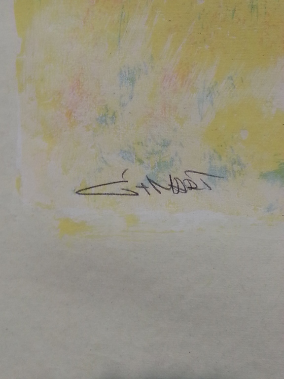 Gerard 't Hart zeefdruk in lijst. titel  kopen? Bied vanaf 50!