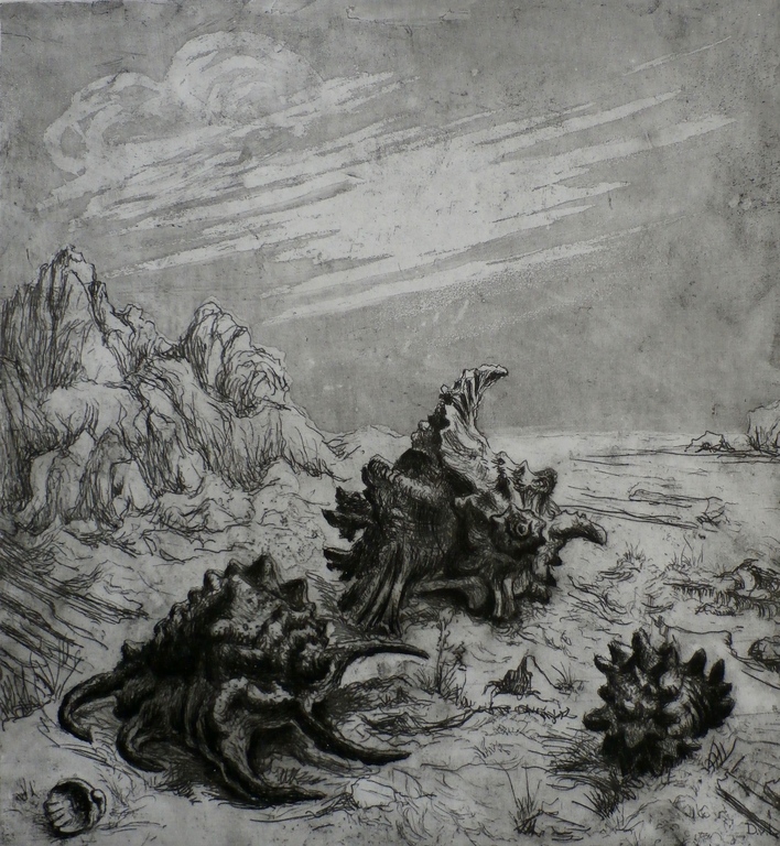 Dick van Luijn - grote ets: landschap verkocht voor € 50!