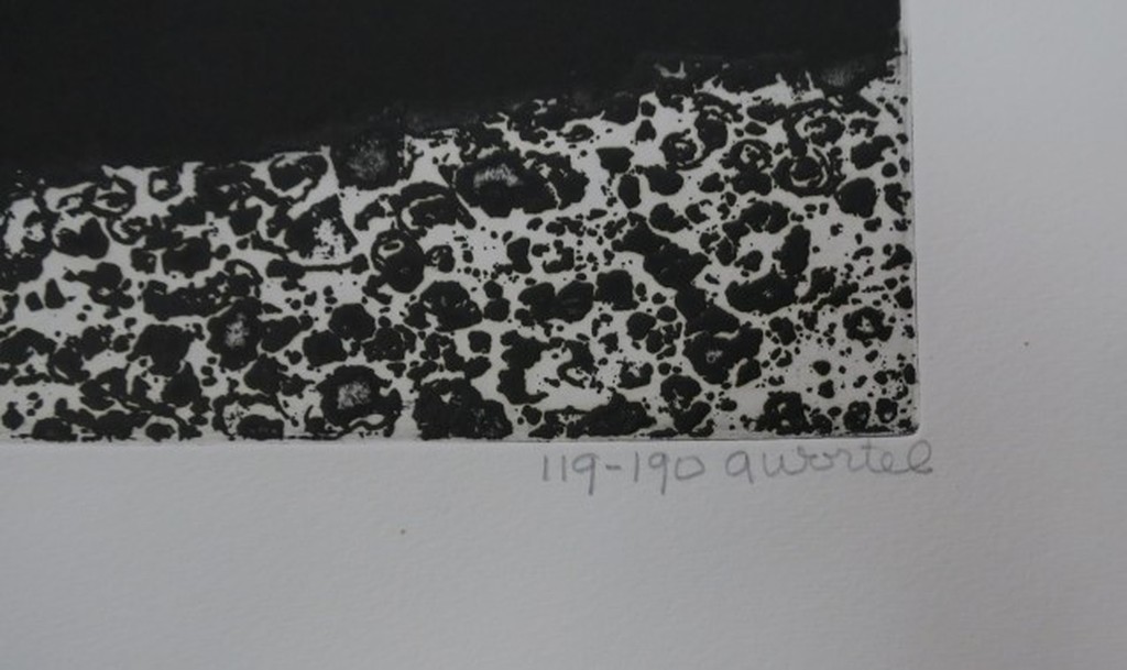 Ans Wortel: Ets en Aquatint, ... Tussen de bodem en de lucht... kopen? Bied vanaf 60!
