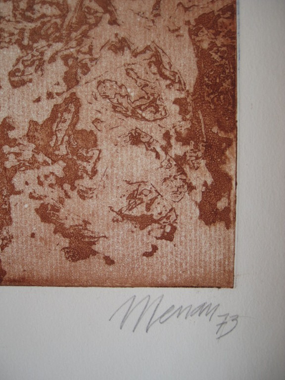 Fraaie gedetailleerde Litho van Spaans Hollandse graficus Manuel Menan 1946-1994 kopen? Bied vanaf 1!