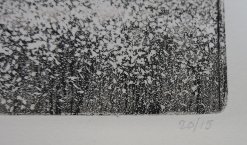 Paulien Wittenrood: Ets, Wolfheze V (heide in de zomer) kopen? Bied vanaf 35!