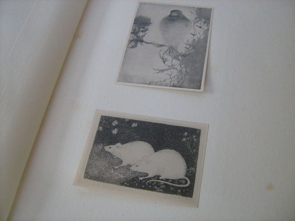 Monografie - 'Jan Mankes' - Inclusief 'Koemelkster', originele houtsnede kopen? Bied vanaf 195!