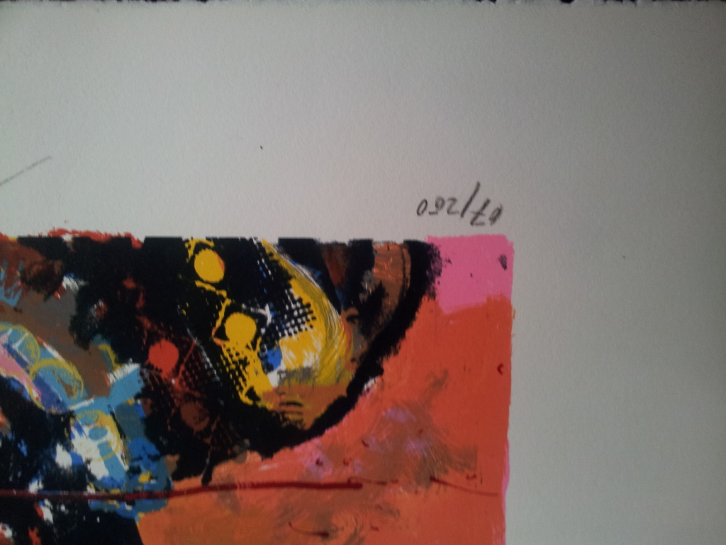 Espen Greger Hagen Zeefdruk Braziliaanse Indiaan kopen? Bied vanaf 1!