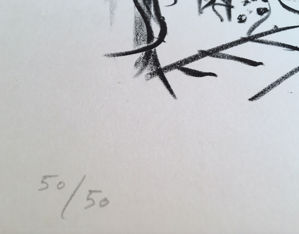 Theo van de Goor, zonder titel, 50/50 grafiek hand gesigneerd  kopen? Bied vanaf 10!