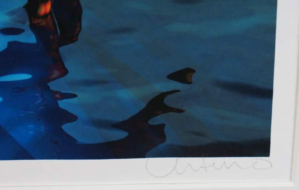 Arturo: Zeefdruk, Vlinder kopen? Bied vanaf 50!