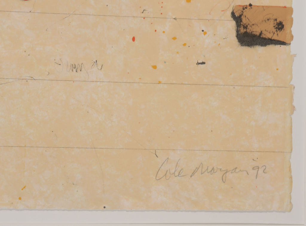 Cole Morgan: Litho, E922 kopen? Bied vanaf 120!