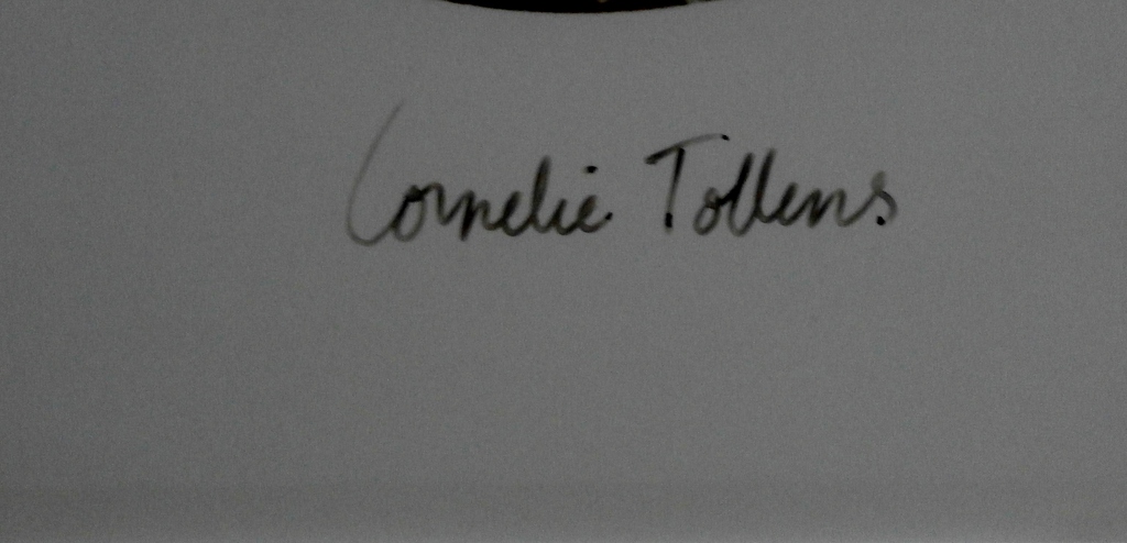 Cornellie Tollens - ingelijste foto: The young Bride - 1988 kopen? Bied vanaf 295!