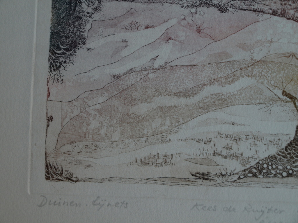 Kees de Ruijter : Ets , Duinen – gesigneerd - 1979  kopen? Bied vanaf 10!