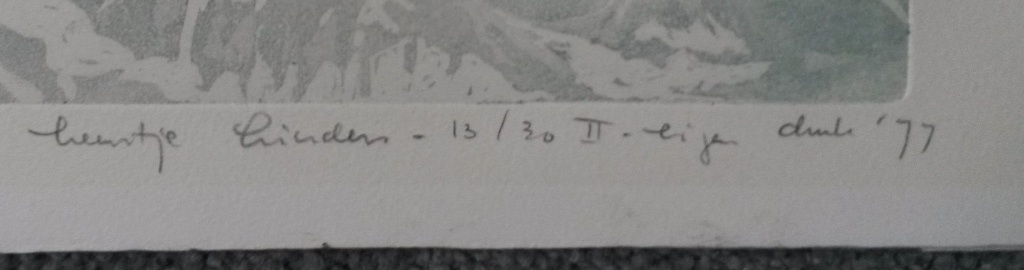Leentje Linders - Falling to Earth, part three - kleurenets met reliefdruk kopen? Bied vanaf 35!