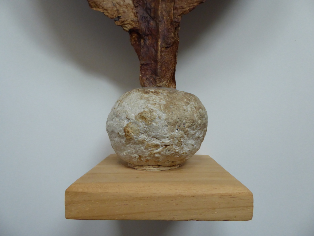 Cor Wegh, papiersculptuur "De bosmonstrans" kopen? Bied vanaf 40!