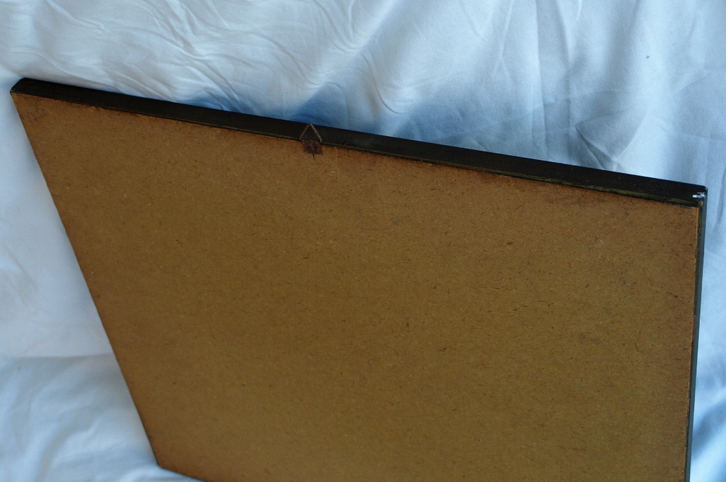 Jac. de Beer : Houtsnede , Lampionplant – gesigneerd & ingelijst  kopen? Bied vanaf 35!