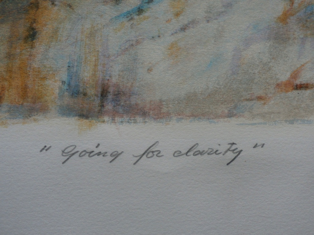 Willem van Scheijndel- kleurenlitho: Going for clarity - 2005 kopen? Bied vanaf 80!