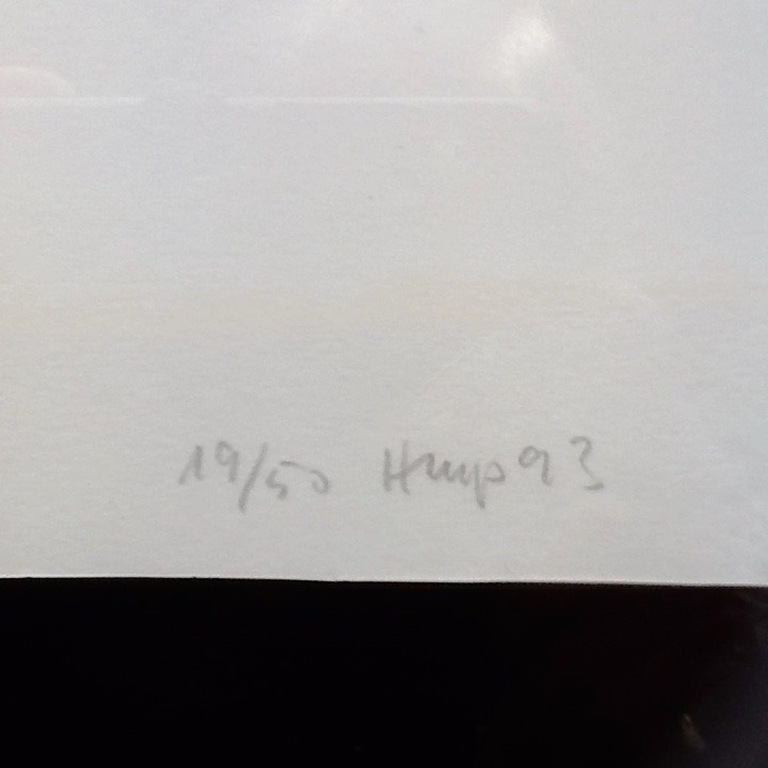 Hans Meyer Petersen, zeefdruk, gesigneerd kopen? Bied vanaf 1!