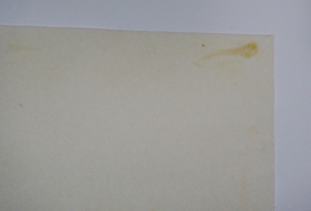 Cees Andriessen: Lino, Z.T. kopen? Bied vanaf 20!