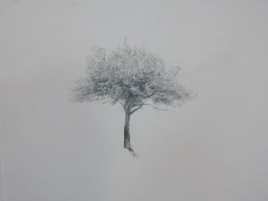 Eduard Flor: Zes tekeningen, Bomen kopen? Bied vanaf 50!