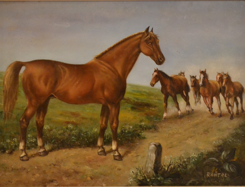 Hongaarse school: olieverf op paneel, paarden kopen? Bied vanaf 1!