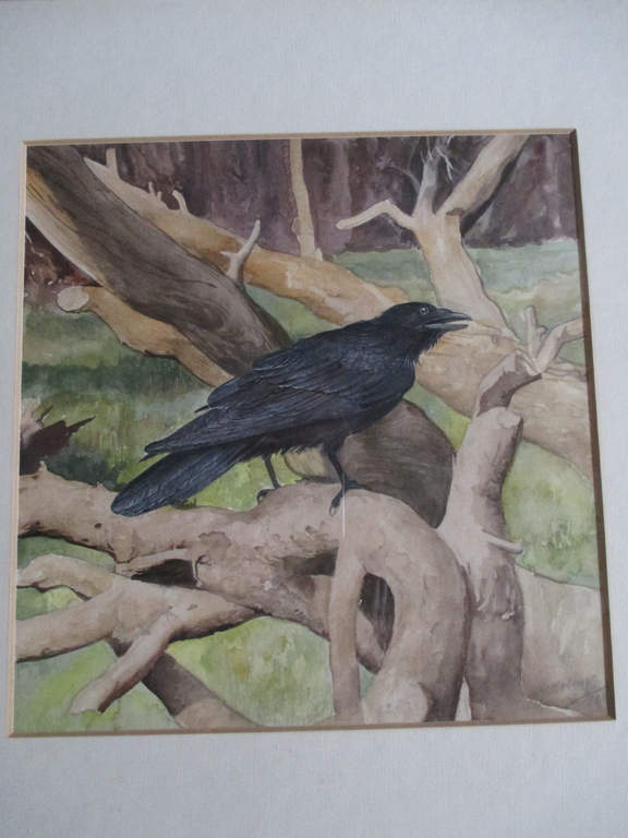 Marius Kolvoort, Ingelijste aquarel, Vogel verkocht voor € 45!