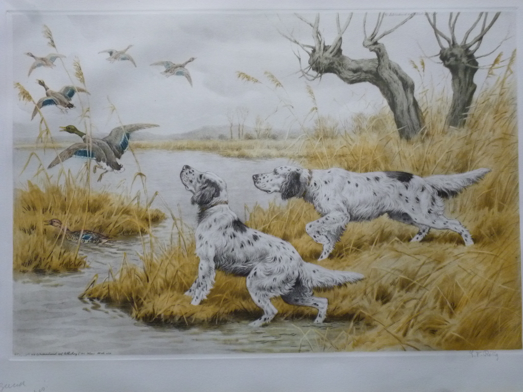 G.F. Rötig - kleurenets - Jachthonden bij opvliegende eenden kopen? Bied vanaf 40!