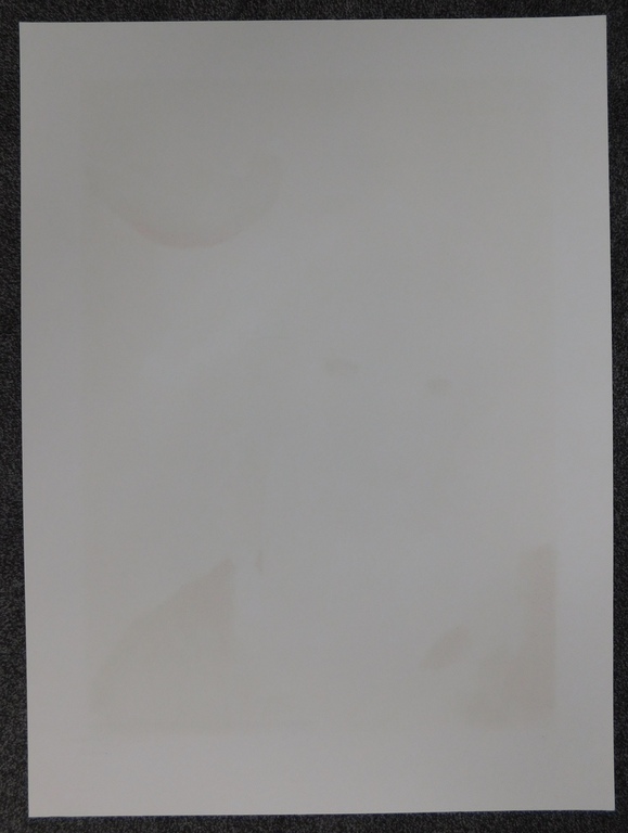 Marie Laurencin - Kleurenlitho - La Fille avec l'oiseau Bleu kopen? Bied vanaf 50!