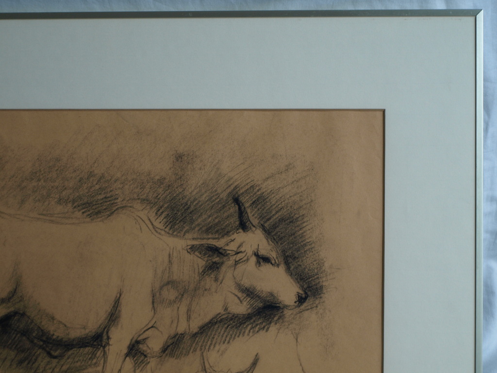 Jan Groenestein : Tekening , Koeien – gesigneerd & ingelijst – ca 1960 kopen? Bied vanaf 50!