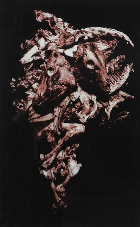 Paul Blanca - Anbol di matrimonio - gesigneerde giclee op fotopapier - oplage 20 verkocht voor € 150!