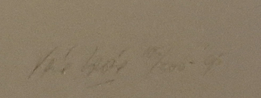 Rene Brone: Litho, Jari Litmanen /Champions League Ajax - Ingelijst kopen? Bied vanaf 600!