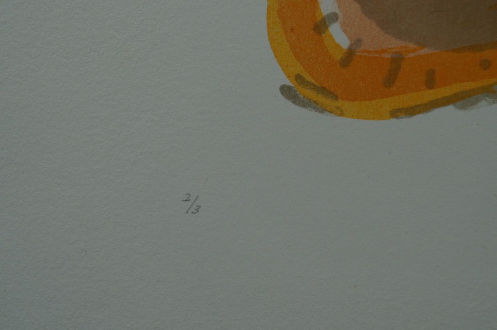 Caroline Gresnigt - -gesigneerde litho - 1995 kopen? Bied vanaf 1!