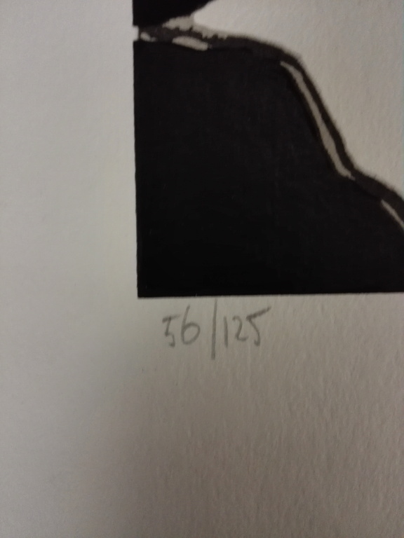 Ronald Boonacker, zeefdruk op papier, Titel: night sky III kopen? Bied vanaf 30!