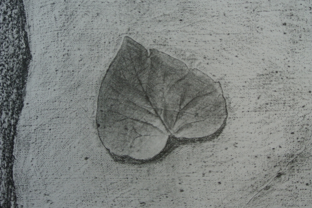 MAX ERNST - Caesars's Palette - Histoire Naturelle 1926.Officiële herdruk '72. kopen? Bied vanaf 75!