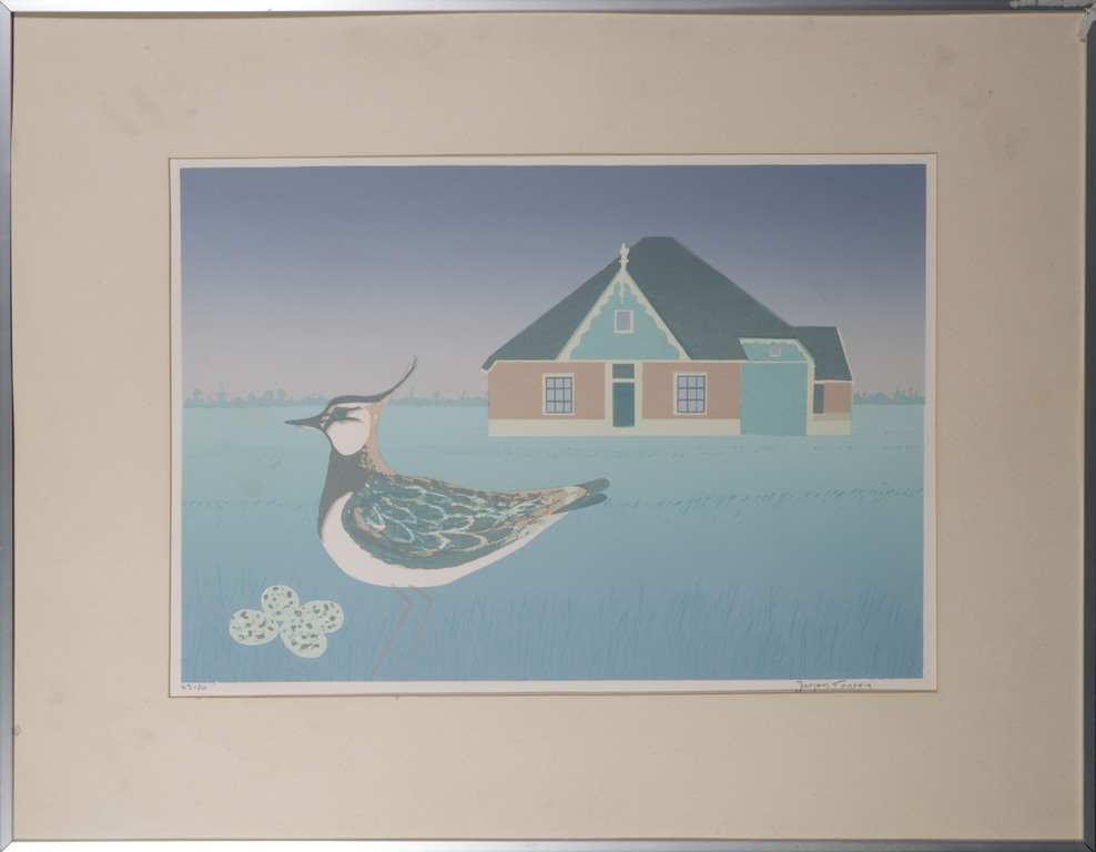 Jurjen Fontein: Zeefdruk, Kievit - Ingelijst kopen? Bied vanaf 1!