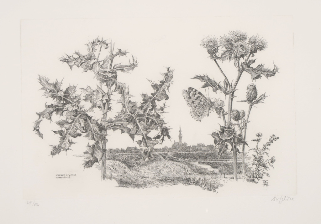 Dirk van Gelder: Ets, Akker distel - Ingelijst kopen? Bied vanaf 100!