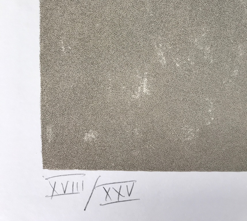 Dan Van Severen - zeldzame zeefdruk - getekend en genummerd kopen? Bied vanaf 235!