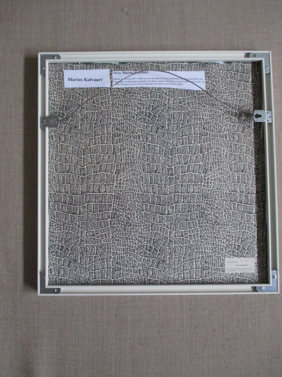 Marius Kolvoort, Ingelijste aquarel, Vogel kopen? Bied vanaf 35!