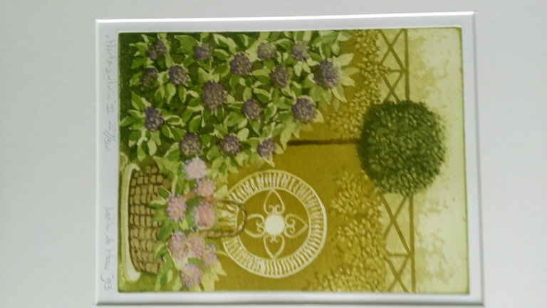 Hortensiatuin II kopen? Bied vanaf 27!