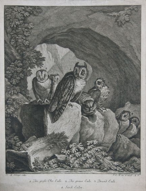 Johann Elias Ridinger: Ets, Uiltjes verkocht voor € 35!