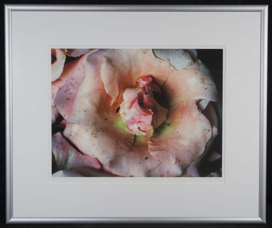 Bert Houweling: Foto, Roos 30 - Ingelijst kopen? Bied vanaf 50!