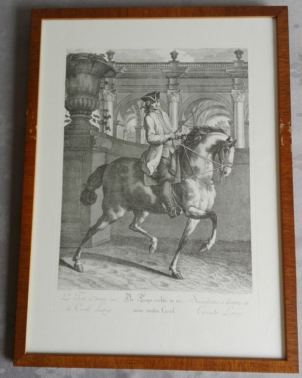Johann Elias Ridinger: Kopergravure, 2 x Paardensport kopen? Bied vanaf 1!