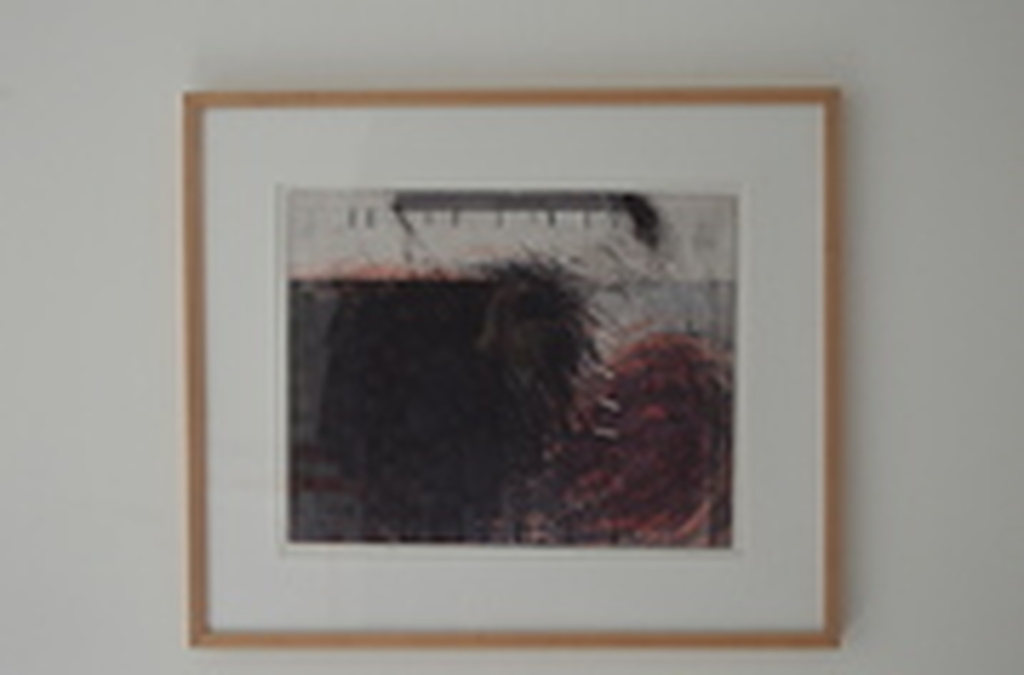 Hans Vredegoor: Kleurenets - Susa O-II - 1984 verkocht voor € 50!