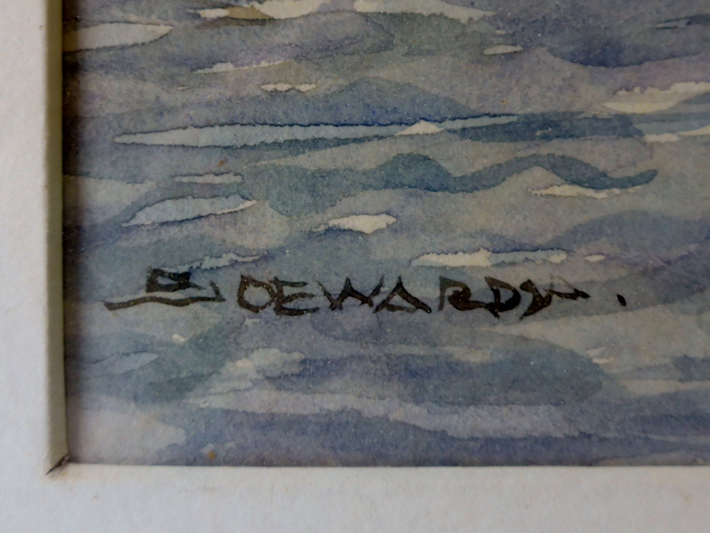 Soewardja kopen? Bied vanaf 45!