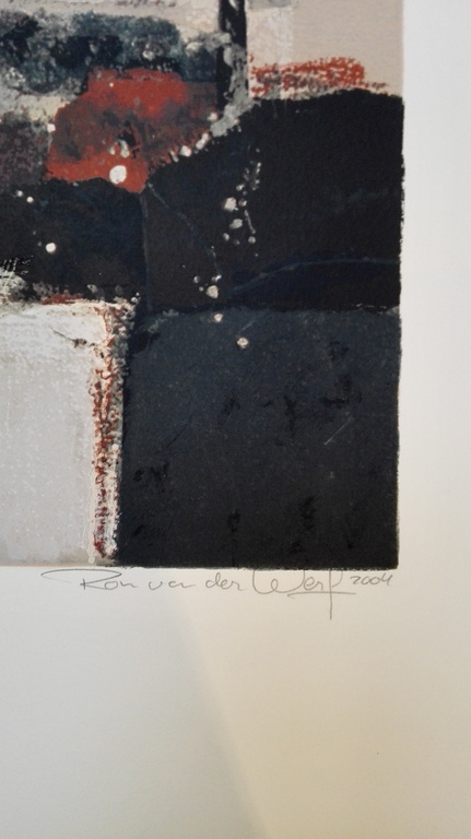 Ron van der Werf, zeefdruk op papier, Titel: Terra II kopen? Bied vanaf 75!