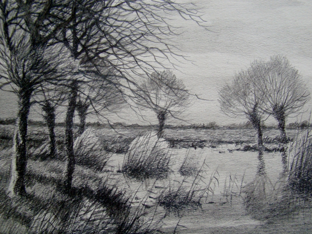 Willem Abraham Wassenaar (1873-1956) - plassen bij Reeuwijk  kopen? Bied vanaf 40!