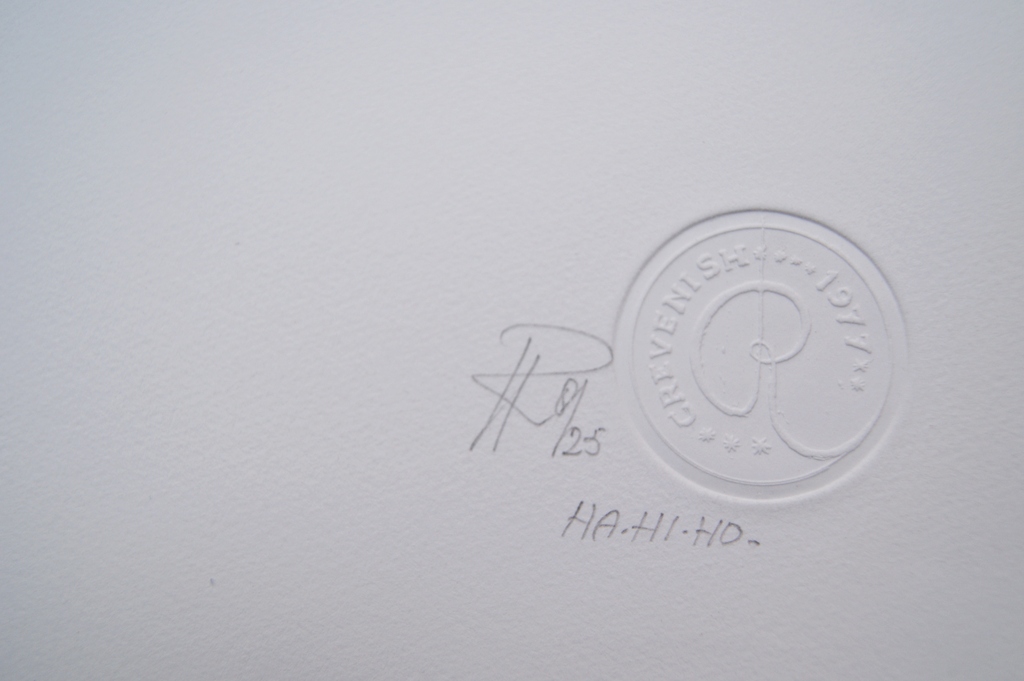 Ron Rooymans ets 1977 - oplage 25 ex.  kopen? Bied vanaf 20!