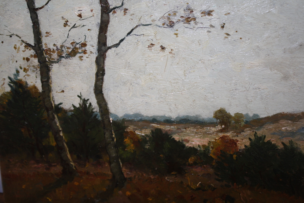 HAAGSE SCHOOL - HEIDELANDSCHAP VAN HERM OOSTERZEE kopen? Bied vanaf 150!