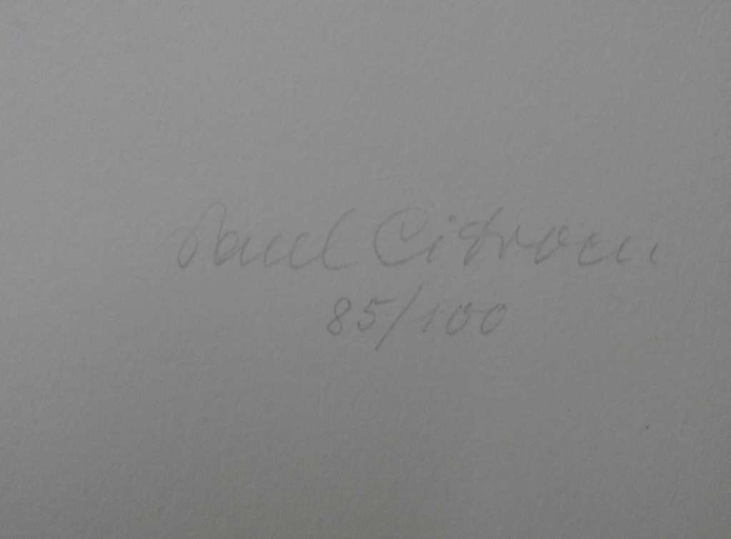 Paul Citroen - litho: Kees Verweij kopen? Bied vanaf 100!